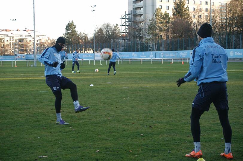 Die Löwen übten bei der Trainingseinheit am Dienstagnachmittag vor allem das Kombinationsspiel.