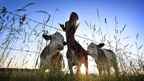 Die bislang höchste Temperatur des Jahres wurde laut vorläufigen Werten des DWD im unterfränkischen Kitzingen gemessen.