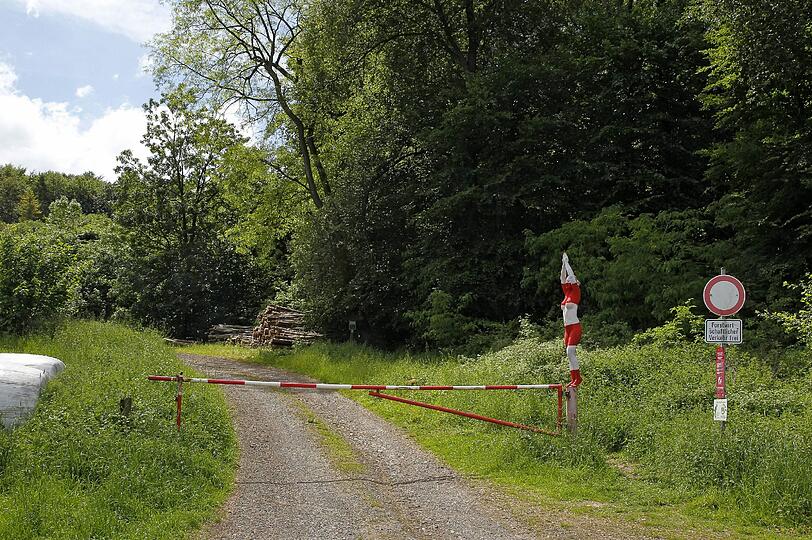 Hätten Sie die Nackte gefunden? Klicken Sie durch die Bilderrätsel.