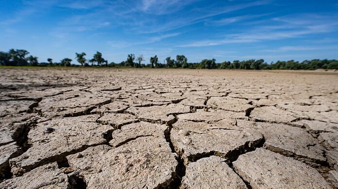 Aufgerissen und ausgetrocknet ist eine Sandbank an der Niedrigwasser führenden Donau. (Archivbild) Aufgerissen und ausgetrocknet ist eine Sandbank an der Niedrigwasser führenden Donau. (Archivbild)