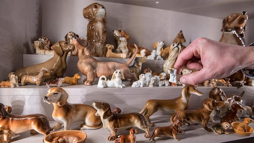 Alles rund um den Dackel - ab Anfang April im Dackelmuseum in Passau.