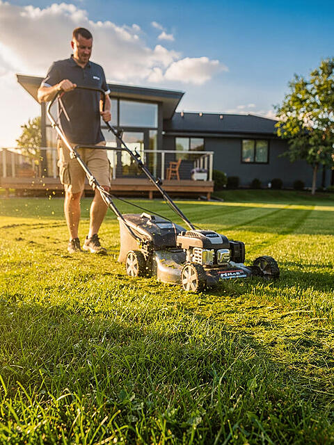 Naturrasen geh&ouml;rt zu den klassischsten Elementen in der Gartengestaltung. Vor dem Hintergrund steigender Kosten bleibt er jedoch nicht alternativlos.