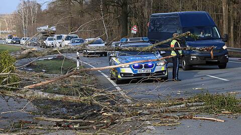 Umgestürzte Bäume  auf der B12 am Fuße des Friesenhamer Berges behindern den Straßenverkehr.