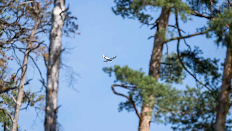 Piloten der Luftrettungsstaffel Bayern überfliegen die Wälder, um Waldbrände möglichst früh zu erkennen. (Archivbild)