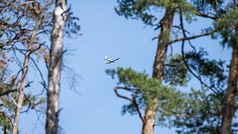 Piloten der Luftrettungsstaffel Bayern überfliegen die Wälder, um Waldbrände möglichst früh zu erkennen. (Archivbild)