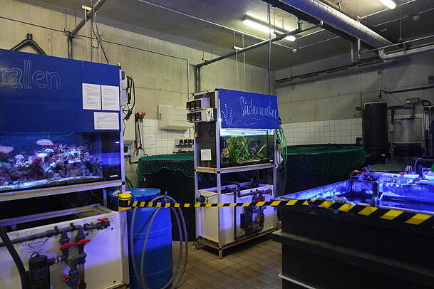 Manche Bereiche im Sealife bleiben trotz des exklusiven Zugangs tabu.