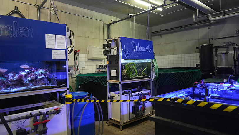 Manche Bereiche im Sealife bleiben trotz des exklusiven Zugangs tabu.