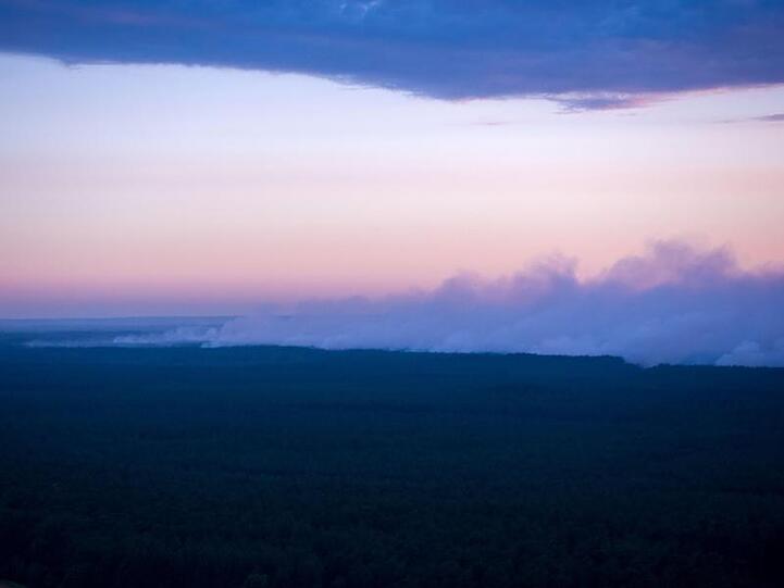 Rauch steigt im Morgengrauen aus dem Wald auf.