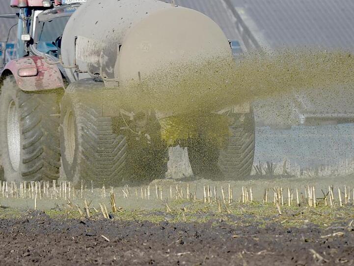 Im vergangenen Juni hatte der Europäische Gerichtshof festgestellt, dass Deutschland jahrelang zu wenig gegen überhöhte Nitratwerte im Grundwasser unternommen hatte.