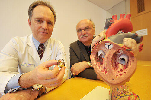 Professor Theodor Fischlein (links), Chefarzt der Herzchirurgie und Dr. Günter Niklewski, Mitglied der Klinikumsleitung, zeigen die neuen Klappen-Prothesen. Im Herz-Modell sieht man, was sie nahtlos ersetzen würde: [BU]Der weiße &bdquo;Kreis&ldquo; links oben ist die Aortaklappe.