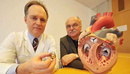 Professor Theodor Fischlein (links), Chefarzt der Herzchirurgie und Dr. Günter Niklewski, Mitglied der Klinikumsleitung, zeigen die neuen Klappen-Prothesen. Im Herz-Modell sieht man, was sie nahtlos ersetzen würde: [BU]Der weiße &bdquo;Kreis&ldquo; links oben ist die Aortaklappe.