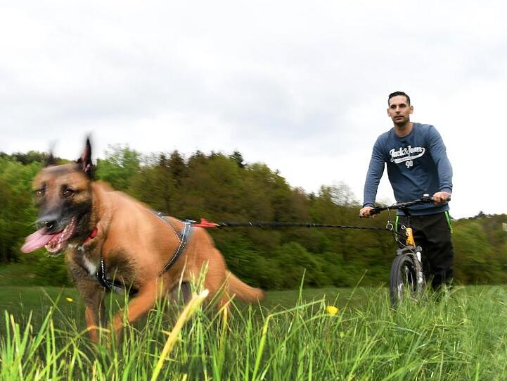 Erst der Hund, dann das Herrchen: Mario Reitz lässt sich von seiner Schäferhündin Kira ziehen.
