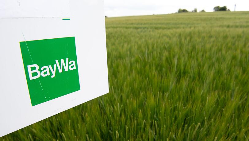 Die Baywa ist der größte deutsche Agrarhändler. Wegen Schulden in Milliardenhöhe steht dem Konzern eine jahrelange schmerzliche Sanierung bevor.
