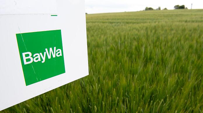 Die Baywa ist der größte deutsche Agrarhändler. Wegen Schulden in Milliardenhöhe steht dem Konzern eine jahrelange schmerzliche Sanierung bevor.