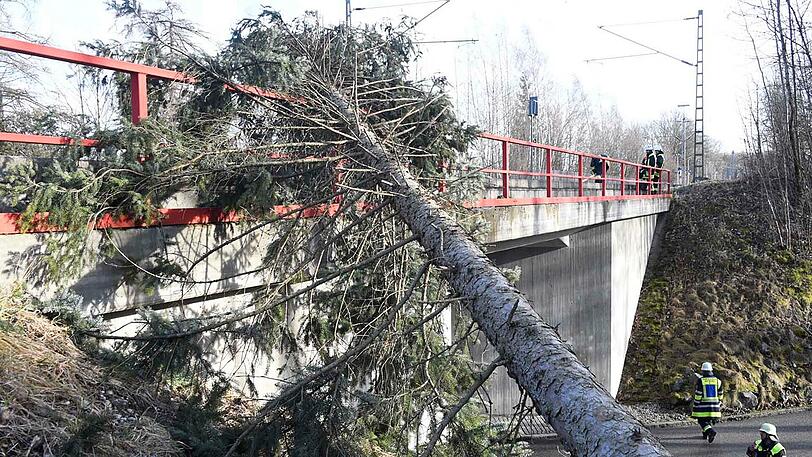 Weil der Baum auf den Gleisen landete, musste der Zugverkehr zwischen München und Holzkirchen eingestellt werden.