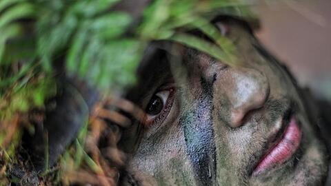 Der neue Freiwilligendienst bei der Bundeswehr soll den bereits bestehenden Freiwilligendienst ergänzen.