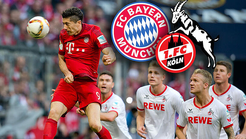 Auch am Samstag wieder obenauf? Die Bayern (hier Robert Lewandowski, l.) müssen am 27. Spieltag beim 1. FC Köln ran. Auch am Samstag wieder obenauf? Die Bayern (hier Robert Lewandowski, l.) müssen am 27. Spieltag beim 1. FC Köln ran.
