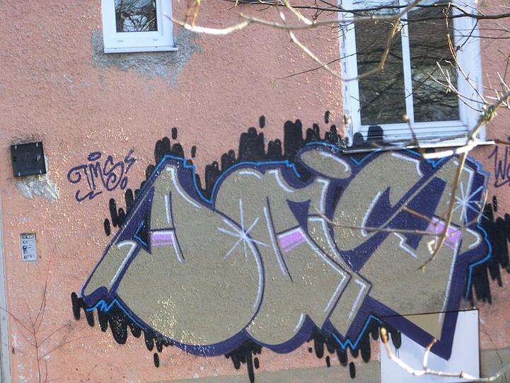 Graffiti-Künstler haben im Harthof Abrisshäuser gekonnt verschönert.