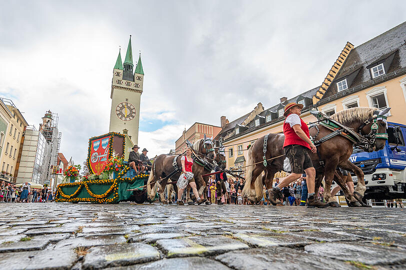 Ein Pferdegespann nimmt am traditionellen Auszug teil.