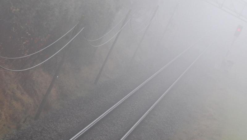 Mobilfunkunternehmen sollen ungenutzte Teile der Kabel-Infrastruktur der Deutschen Bahn verwenden können. Mobilfunkunternehmen sollen ungenutzte Teile der Kabel-Infrastruktur der Deutschen Bahn verwenden können.