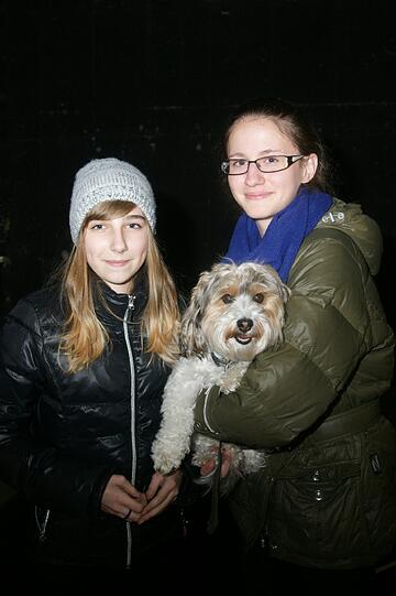 Das Münchner Gärtnerplatztheater suchte am Mittwochabend ein Schoßhündchen für die Inszienierung des Musicals "Anything Goes". Die besten Bilder der tierischen Bewerber!