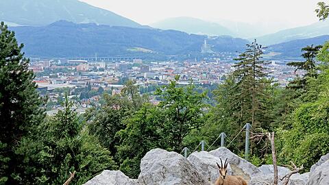 Innsbruck bewirbt sich als ESC-Bühne in den Alpen. (Archivbild)