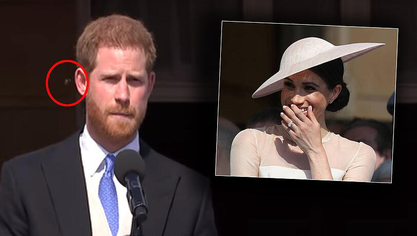 Biene sucht Prinz Harry heim - Royale Schadenfreude bei Herzogin Meghan. Biene sucht Prinz Harry heim - Royale Schadenfreude bei Herzogin Meghan.