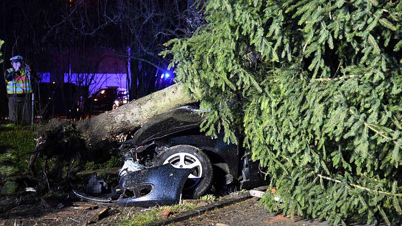...durch die Wucht des Aufpralls knickte der Baum um.