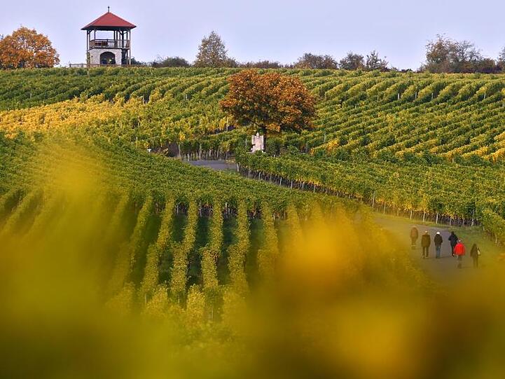 Spaziergänger laufen unter einem Aussichtsturm durch die herbstlichen Weinberge der Weinlage Sommeracher Katzenkopf. Foto: Karl-Josef Hildenbrand/Archiv