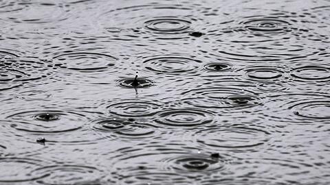 Statt Sonne satt gibt es in Bayern in den kommenden Tagen Regen und teils auch Gewitter.