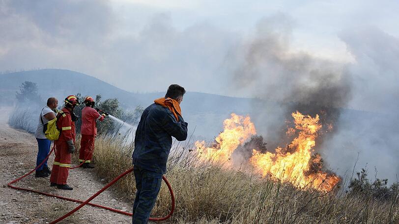 In Griechenland wüten heftige Waldbrände. Mindestens 50 Menschen kamen bereits ums Leben.
