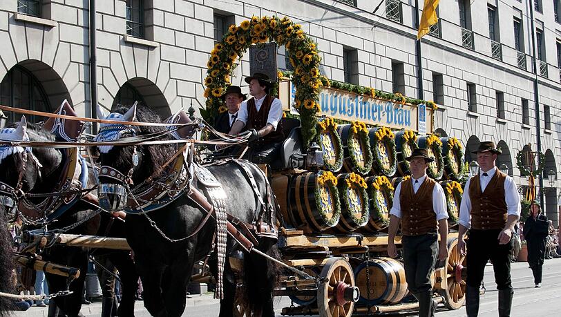 Ein Einsatz aus traurigem Anlass: Die Kaltblüter der Augustiner Brauerei ziehen am Samstag zur Trauerfeier vor St. Michael. Ein Einsatz aus traurigem Anlass: Die Kaltblüter der Augustiner Brauerei ziehen am Samstag zur Trauerfeier vor St. Michael.