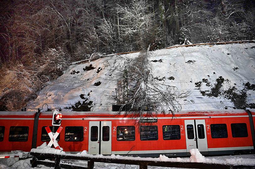 Am Sonntagabend stürzte ein Baum auf einen Zug - die Passagiere hatten Glück im Unglück.