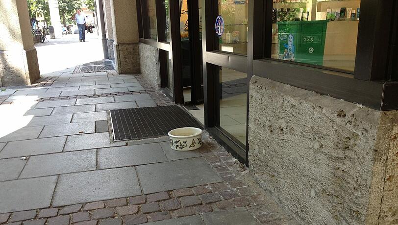 Der Napf steht im Schatten, damit das Wasser schön frisch bleibt. Der Napf steht im Schatten, damit das Wasser schön frisch bleibt.