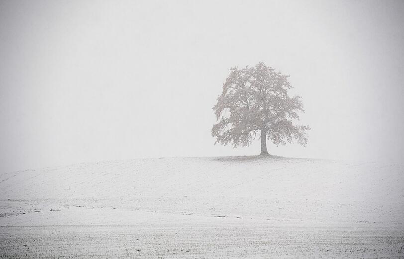 Im bayerischen Sindlsdorf bedeckte der Schnee Bäume und Wiesen.