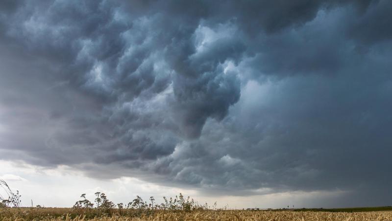 Gewitterwolken ziehen über ein Weizenfeld bei Großenhain in Sachsen. Gewitterwolken ziehen über ein Weizenfeld bei Großenhain in Sachsen.