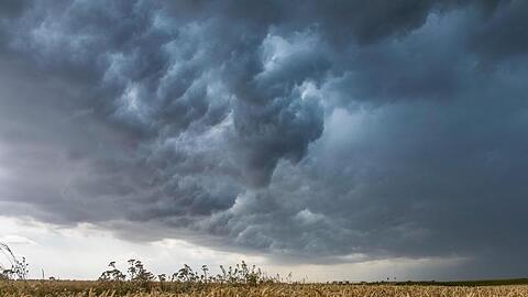Gewitterwolken ziehen über ein Weizenfeld bei Großenhain in Sachsen.