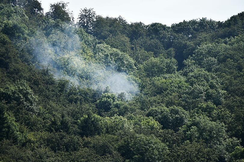 Nach dem Absturz des Leichtflugzeugs musste der Pilot die Nacht im Baumwipfel verbringen. Die Bilder vom Rettungseinsatz.