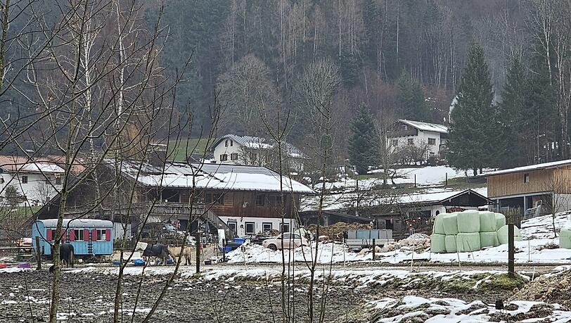 Der Gnadenhof Scheffauenland von Catharina Lichtmannegger in Marktschellenberg im Landkreis Berchtesgadener Land. Der Gnadenhof Scheffauenland von Catharina Lichtmannegger in Marktschellenberg im Landkreis Berchtesgadener Land.