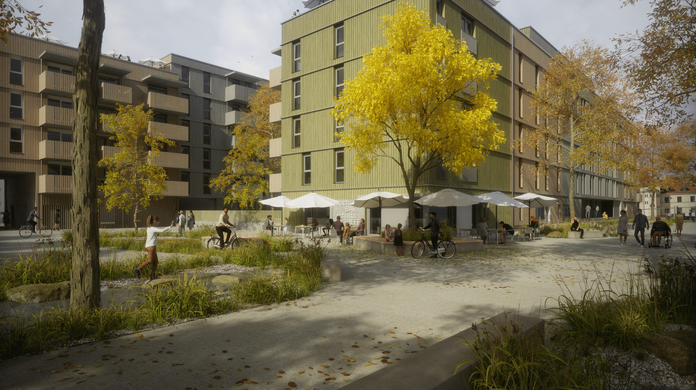 Holzhybridgebäude, teils mit begrünten Dächern, auf denen man spielen und garteln kann - so sollen die Häuser am Kreativfeld aussehen.