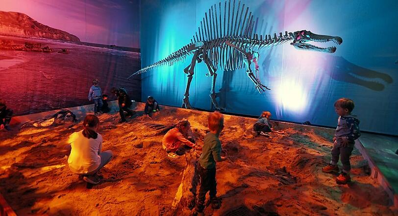 Werkzeug raus: Hier kann man selbst ein Dino-Skelett freilegen.