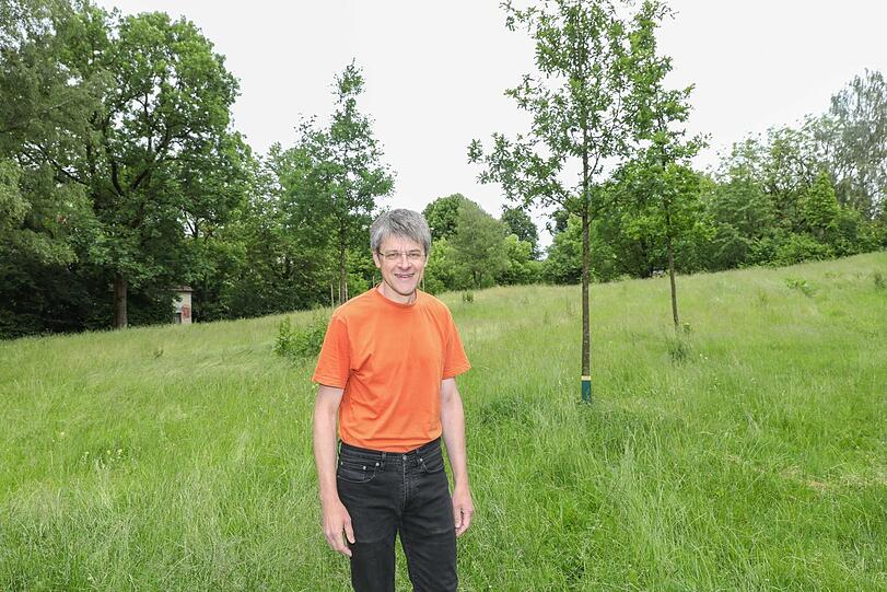 Christian Vogt vor einer Eichen-Dreiergruppe, die er in Harlaching eingepflanzt hat. Rechts eine heimische Stieleiche, die beiden anderen sind Zerreichen, rund 15 Jahre alt.