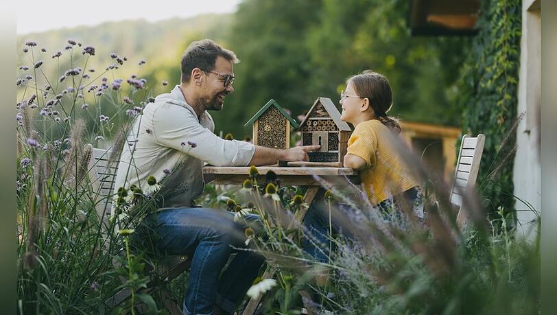 Im insektenfreundlichen Garten ist vor allem eins wichtig: wildes Wachstum.