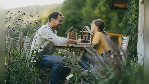 Im insektenfreundlichen Garten ist vor allem eins wichtig: wildes Wachstum.