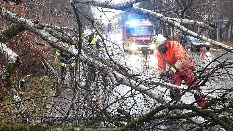 Auf der Rosenheimer Straße kurz vor der Auffahrt auf die A8 stürzten mehrere Bäume auf die Fahrbahn. Die Freiwillige Feuerwehr aus Perlach beseitigte die Hindernisse.