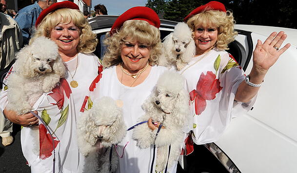 Martin Rütter half als "V.I.P. Hundeprofi" zahlreichen Promis mit ihren Vierbeinern weiter. So zum Beispiel auch den quirligen "Jacob Sisters". Martin Rütter half als "V.I.P. Hundeprofi" zahlreichen Promis mit ihren Vierbeinern weiter. So zum Beispiel auch den quirligen "Jacob Sisters".
