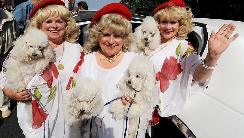 Martin Rütter half als "V.I.P. Hundeprofi" zahlreichen Promis mit ihren Vierbeinern weiter. So zum Beispiel auch den quirligen "Jacob Sisters".