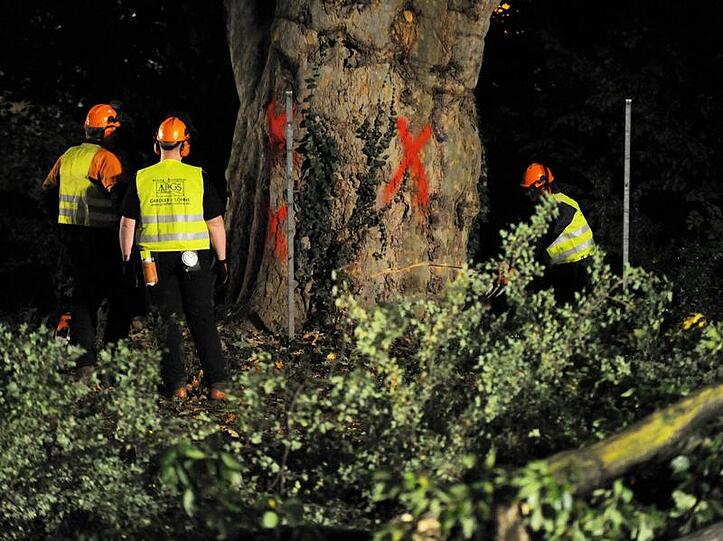 Bauarbeiter beginnen mit den ersten Rodungen im Stuttgarter Schloßpark