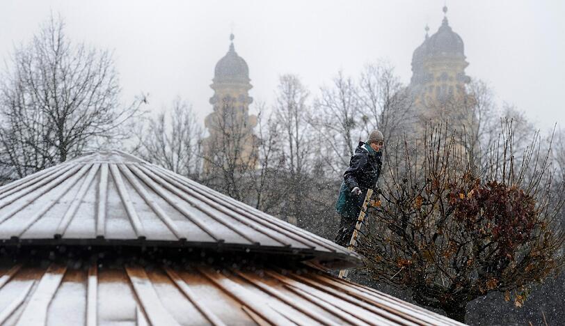 Baumarbeiten im Münchner Hofgarten - auch bei Schnee und Eis.
