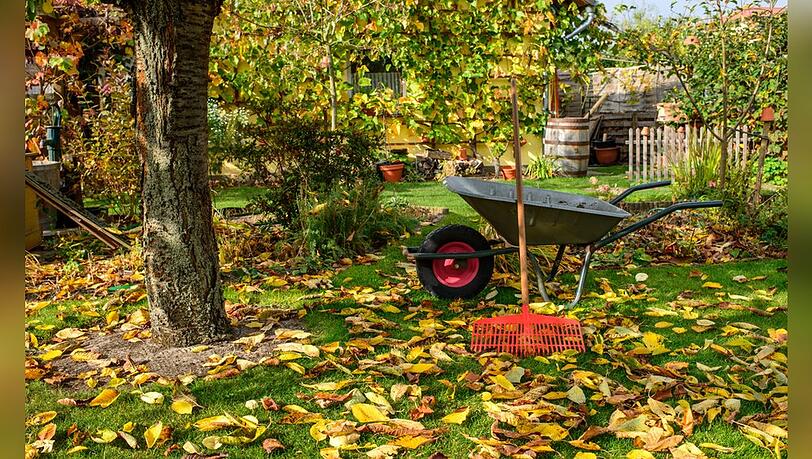 Vor dem Herbstanfang gibt es im Garten noch einiges zu tun. Vor dem Herbstanfang gibt es im Garten noch einiges zu tun.